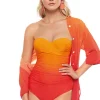 Roidal Brasil Megan Ombre Bandeau Swimsuit